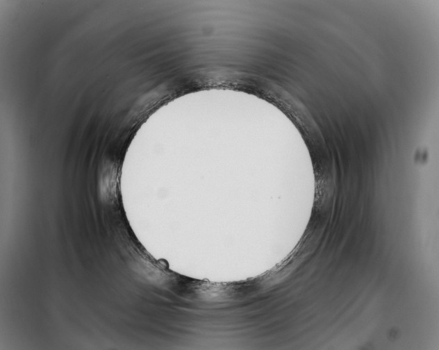 X0000099400142200806051216