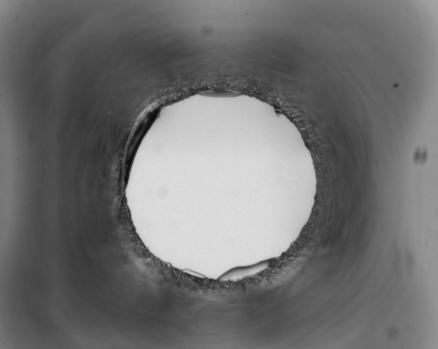 X0000099400144200806051216