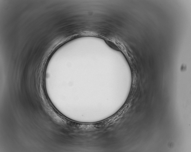 X0000099400145200806051215