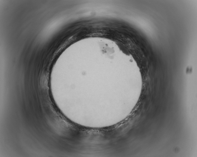 X0000099400146200806051215