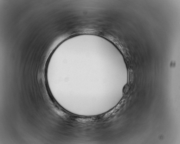 X0000099400147200806051215