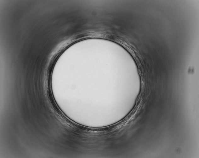 X0000099400149200806051215