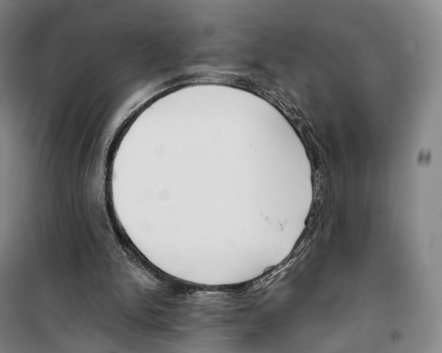 X0000099400150200806051215