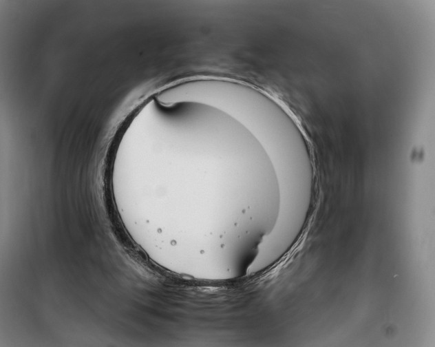 X0000099400151200806051215