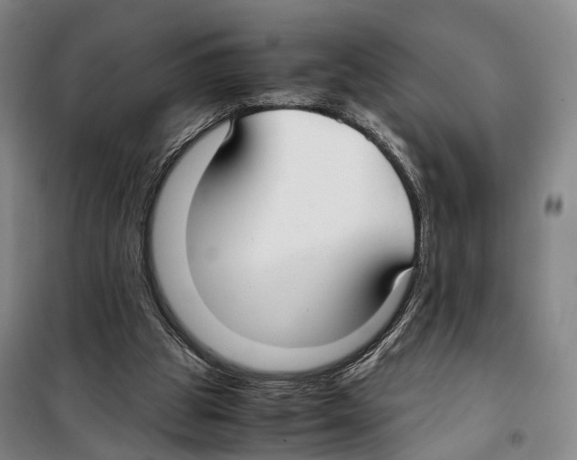 X0000099400153200806051215