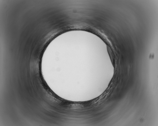 X0000099400154200806051215