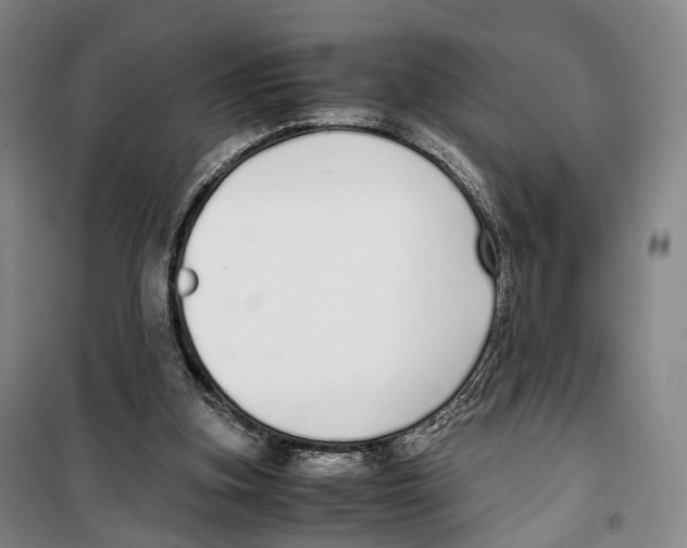 X0000099400155200806051215