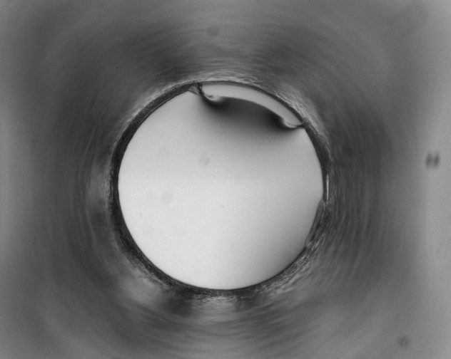 X0000099400156200806051215