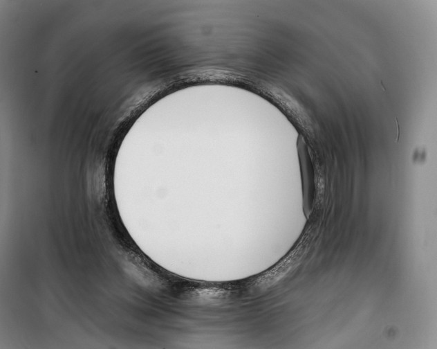 X0000099400158200806051215