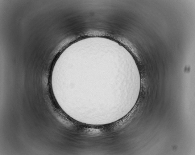 X0000099400159200806051215