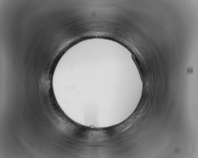 X0000099400160200806051215