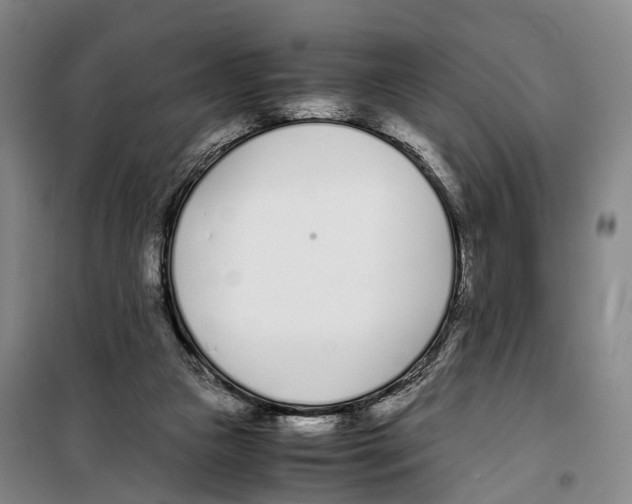 X0000099400161200806051215