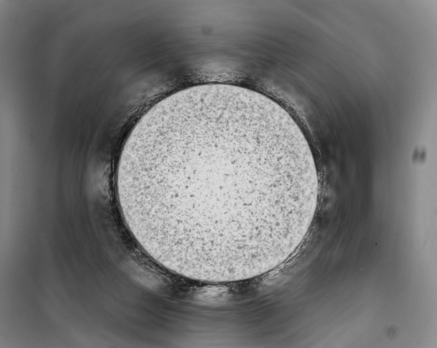 X0000099400162200806051215