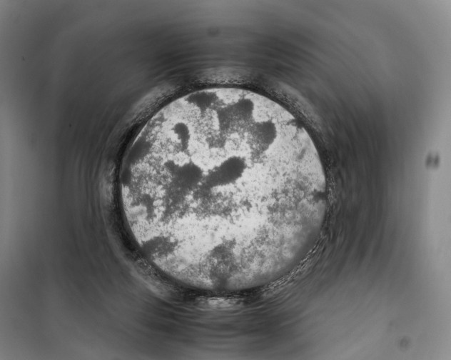 X0000099400163200806051216
