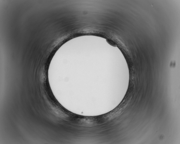 X0000099400164200806051216
