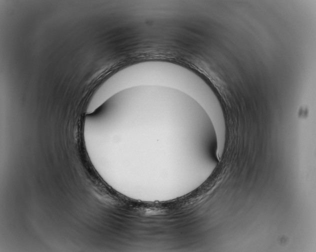 X0000099400165200806051216
