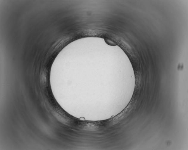 X0000099400166200806051216