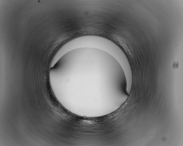 X0000099400167200806051216