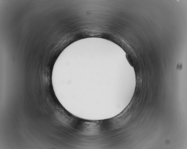 X0000099400170200806051216