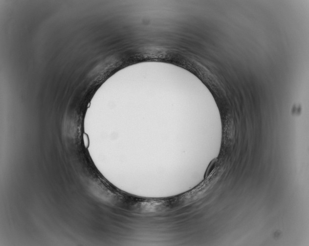 X0000099400172200806051216