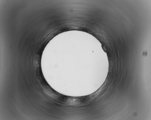 X0000099400174200806051216