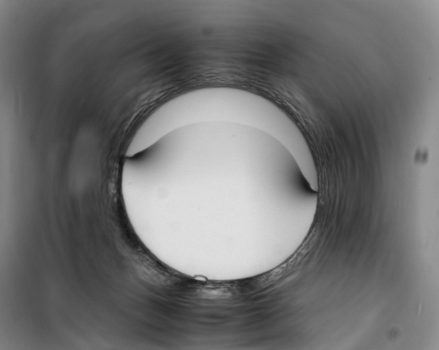 X0000099400175200806051216