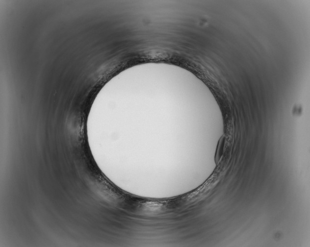 X0000099400176200806051216