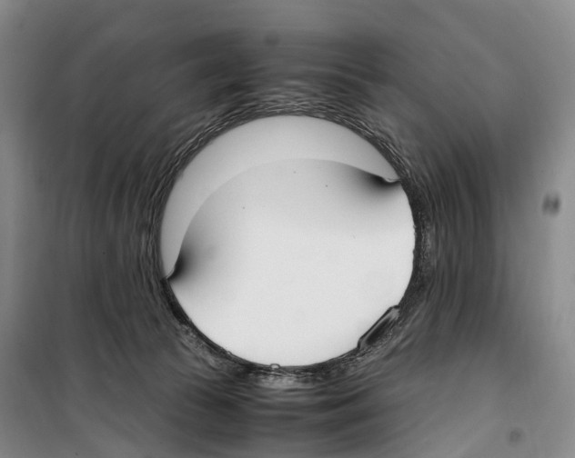 X0000099400177200806051216