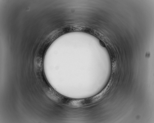 X0000099400178200806051216