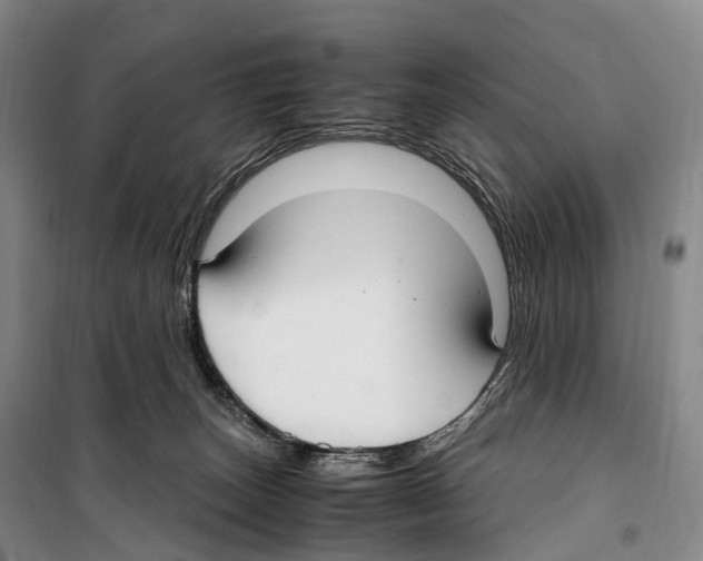 X0000099400179200806051216