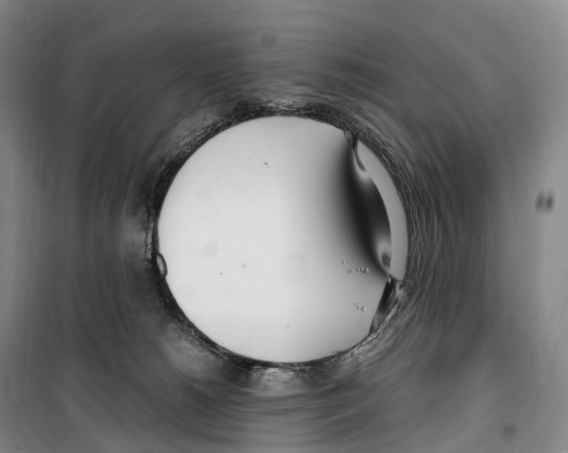 X0000099400180200806051216