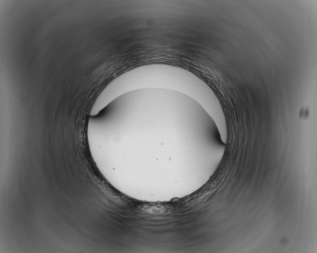 X0000099400181200806051216
