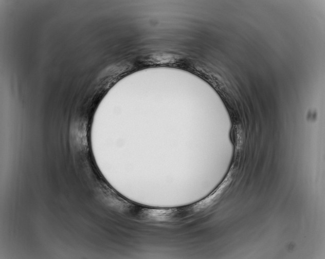 X0000099400182200806051216