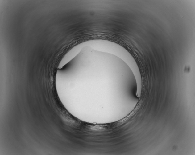 X0000099400183200806051216