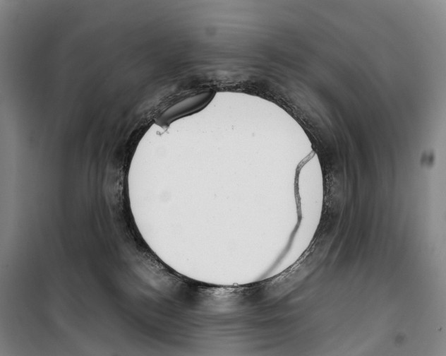 X0000099400184200806051216