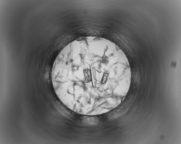 X0000099400185200806051216