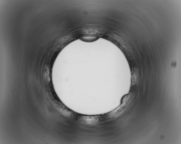 X0000099400187200806051216