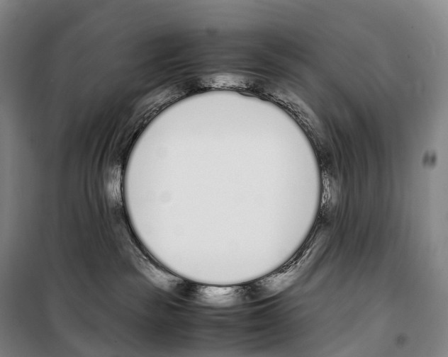 X0000099400189200806051216