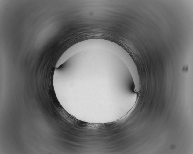 X0000099400190200806051216