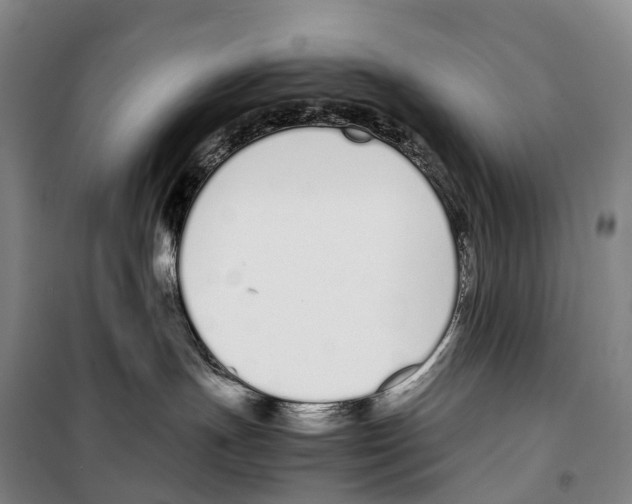 X0000099400191200806051216