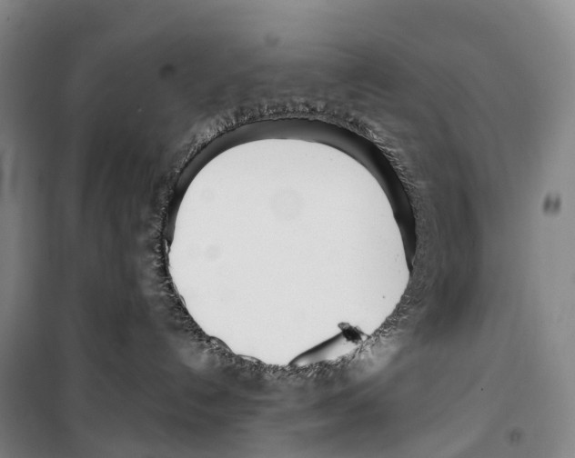 X0000099400192200806051216