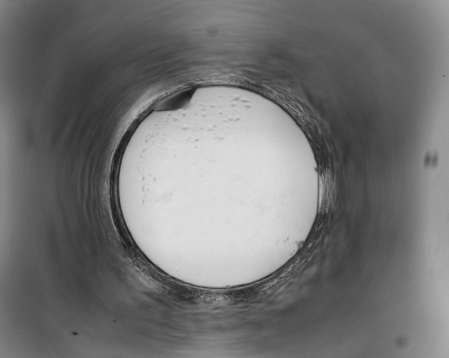 X0000099400195200806051215