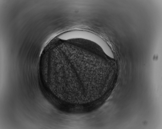 X0000099400196200806051215