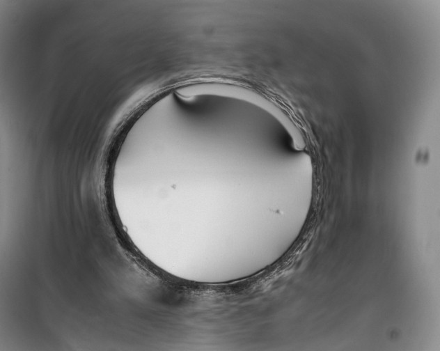 X0000099400197200806051215