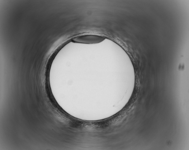 X0000099400199200806051215