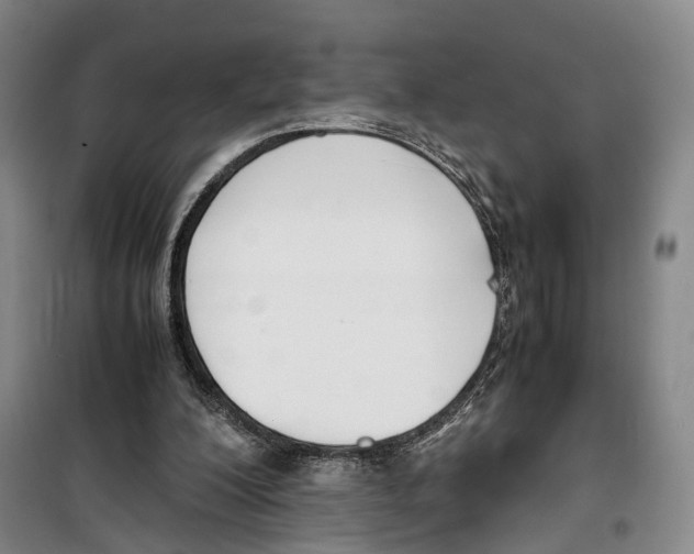 X0000099400200200806051215