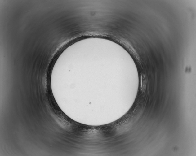 X0000099400204200806051215
