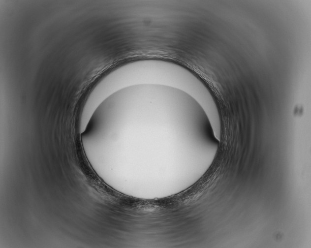 X0000099400206200806051215