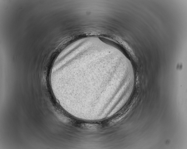 X0000099400209200806051215