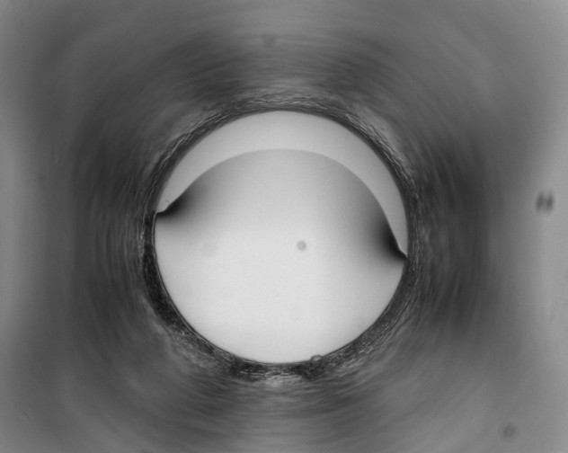X0000099400210200806051215